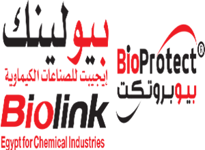 40_638784082208179537